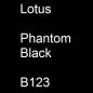 Preview: Lotus, Phantom Black, B123.